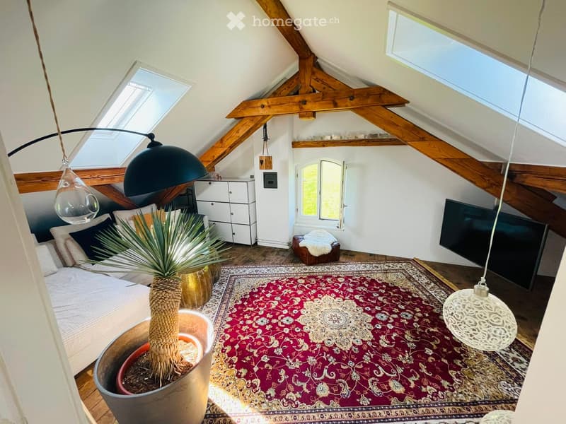 Loft-style bedroom with exposed wooden beams, skylights, a large red patterned rug, a sofa, a potted plant, a television, and a cabinet.