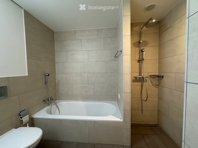 Modern bathroom with a bathtub, toilet, and separate shower area. Features tiled walls and a glass shower enclosure.