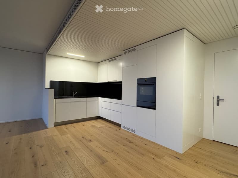 Modern kitchen with white cabinets, wooden flooring, and built-in oven. The space is clean and well-lit with a sleek design.
