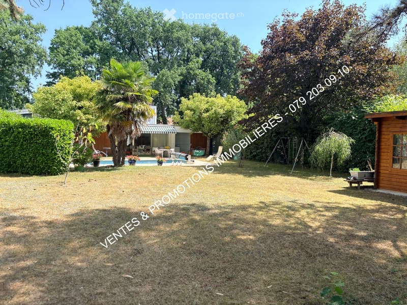 Well-maintained garden with a swimming pool, patio furniture, a wooden shed, and various trees and shrubs.