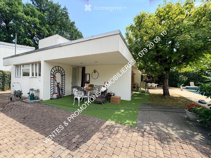 Garden area with artificial grass, outdoor furniture, swimming pool, and surrounding trees.