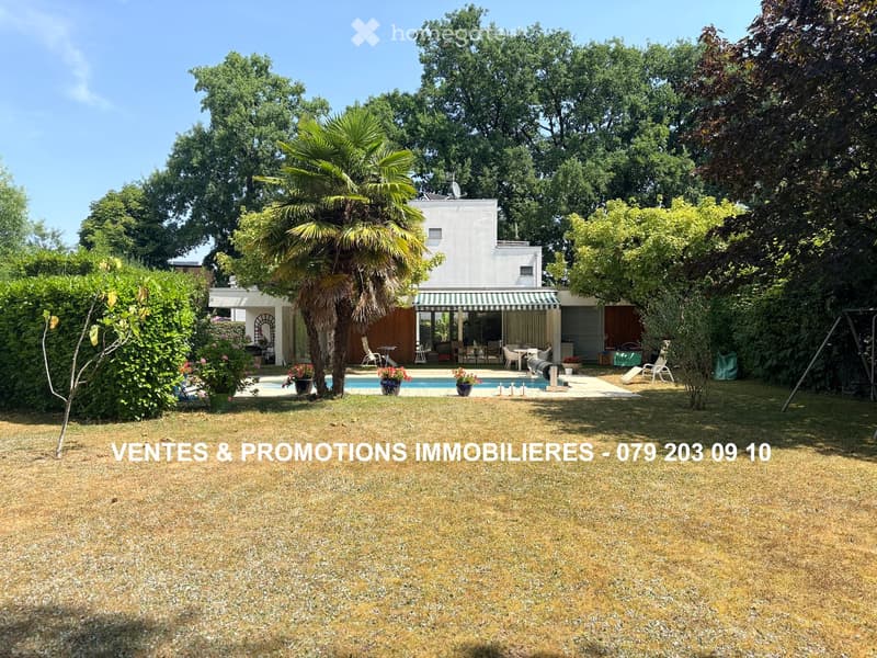 A well-maintained garden with a swimming pool, surrounded by trees and shrubs, with outdoor furniture near the pool area.