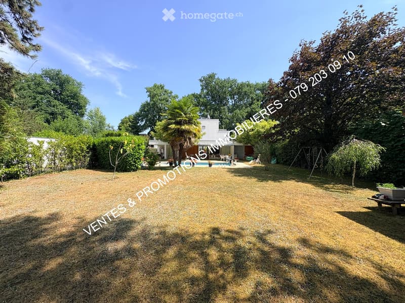 A spacious garden with a lawn, trees, a swimming pool, outdoor furniture, and a house in the background.