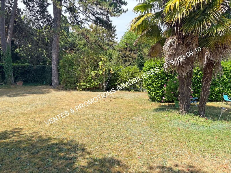 Lush garden with grass, palm trees, bushes, and a few outdoor chairs.