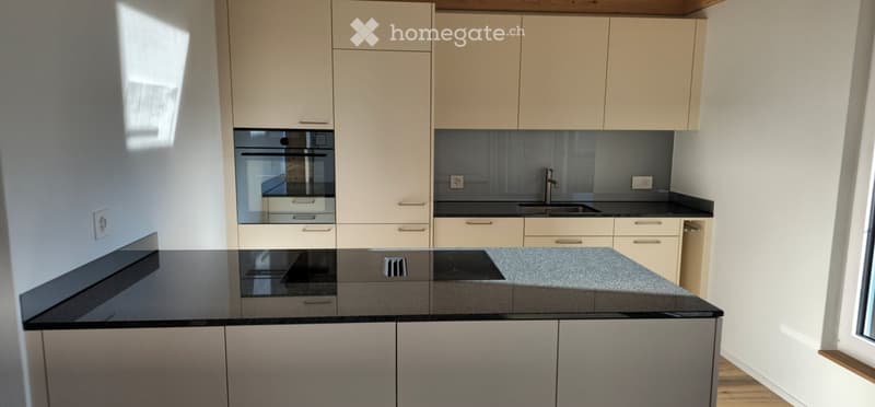 Kitchen. Modern kitchen with light-colored cabinets, black countertops, built-in oven, and stainless steel sink.