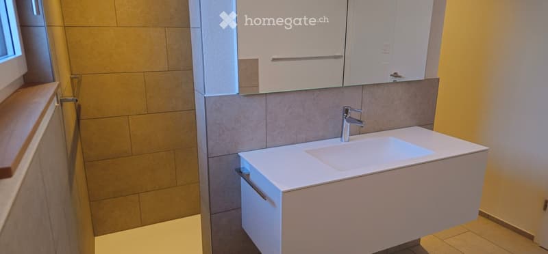 Modern bathroom with a white sink, chrome faucet, built-in cabinet, and a mirrored cabinet above.