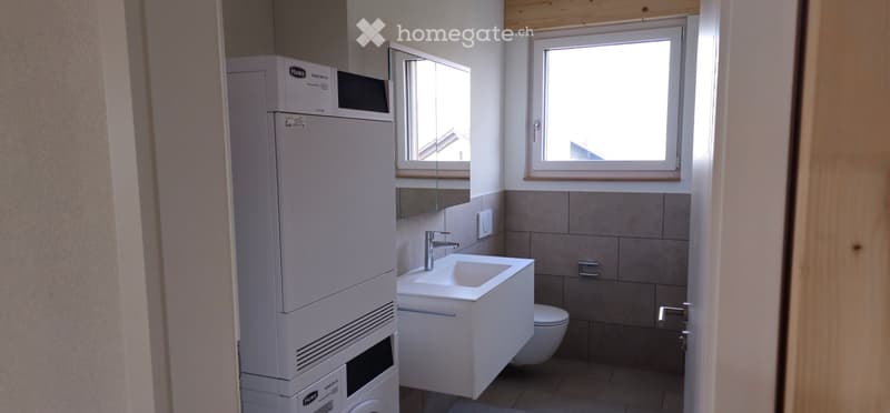 Modern bathroom with a white sink, chrome faucet, mirror, toilet, and a white washing machine. The walls are tiled in a neutral color, and there are two windows providing natural light.