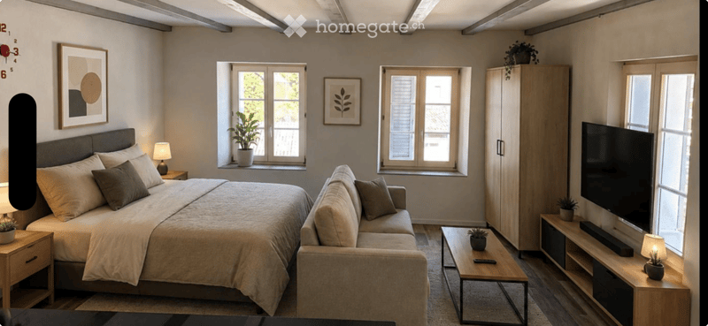 A modern, well-lit bedroom with a large bed, sofa, coffee table, nightstand, lamp, cabinet, television, picture frames, and plants.
