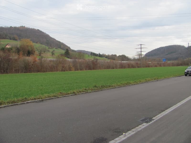 road with mountains and green field