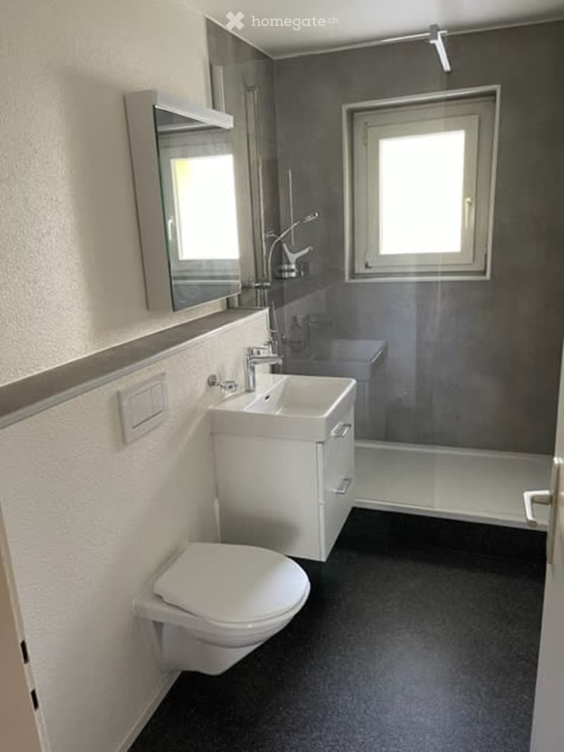 Modern bathroom with gray wall, white toilet, white sink, mirror, glass shower