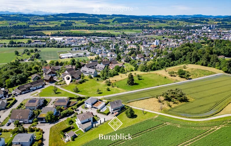 Aerial view of a suburban neighborhood with houses, green fields, and a distant cityscape.