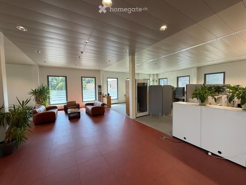Modern office space with a reception area, seating area, and large windows. Features include a white reception desk, leather sofas, a small coffee table, potted plants, and a screen.