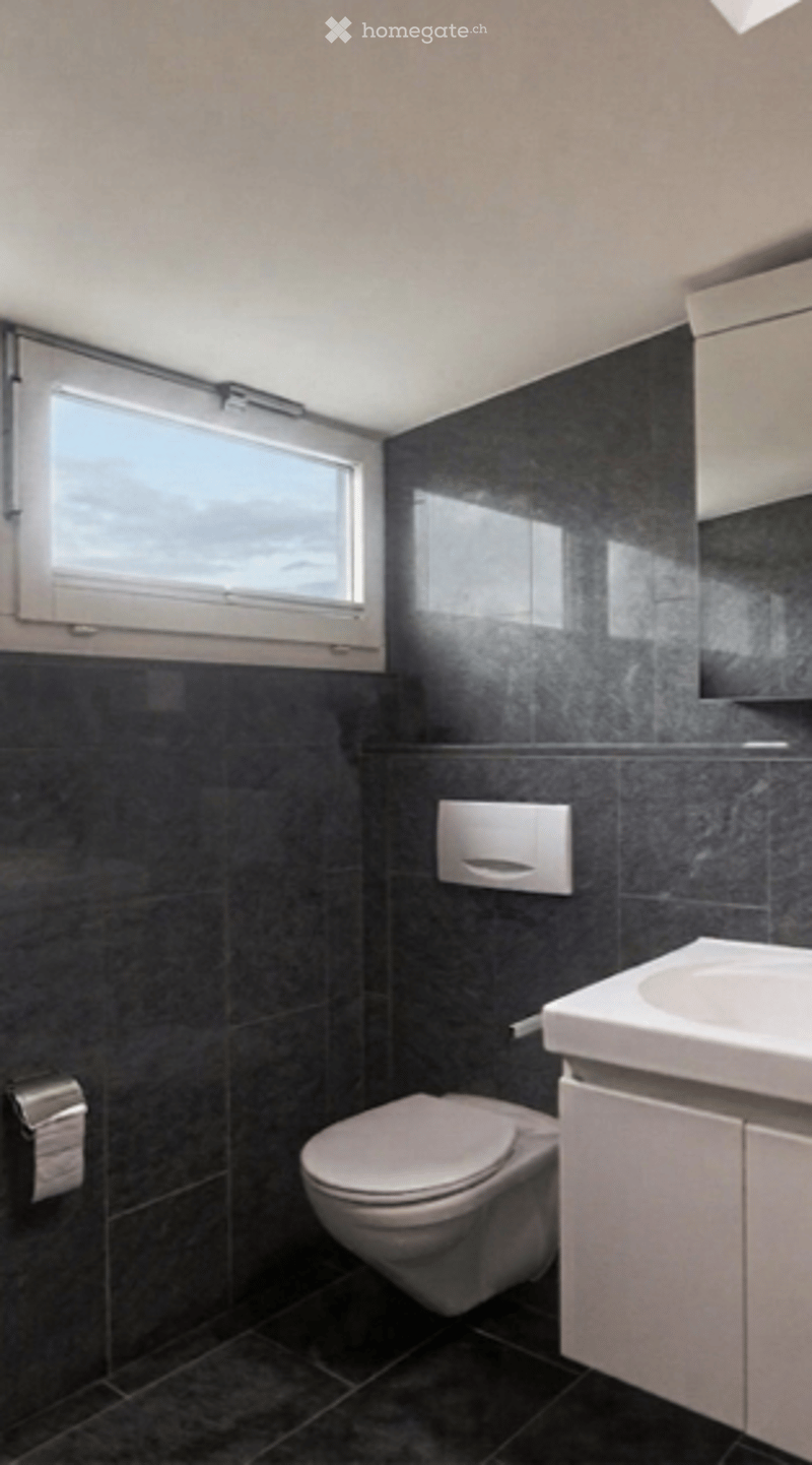 Modern bathroom with dark tiled walls and floor, white fixtures including a toilet, sink, and mirrored cabinet.