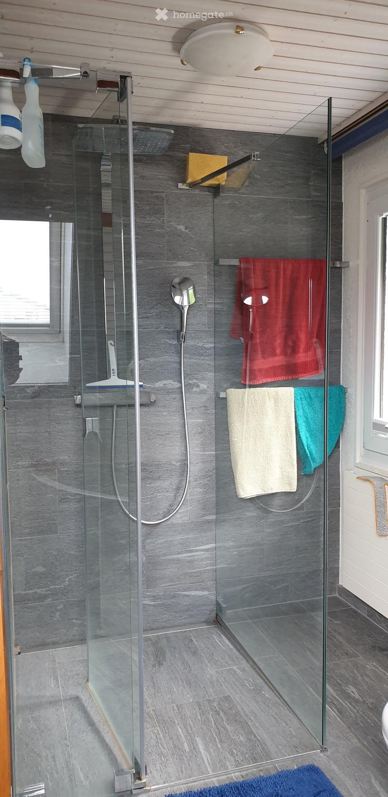 Modern bathroom with a glass-enclosed shower, grey tiles, and multiple towels hanging on a rack. Includes a showerhead, faucet, and a bottle of bathroom cleaner on the wall.