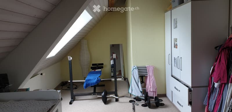 The room features a slanted ceiling with a skylight, a large mirror, a wardrobe, an exercise bike, a treadmill, and a clothing rack with several garments.