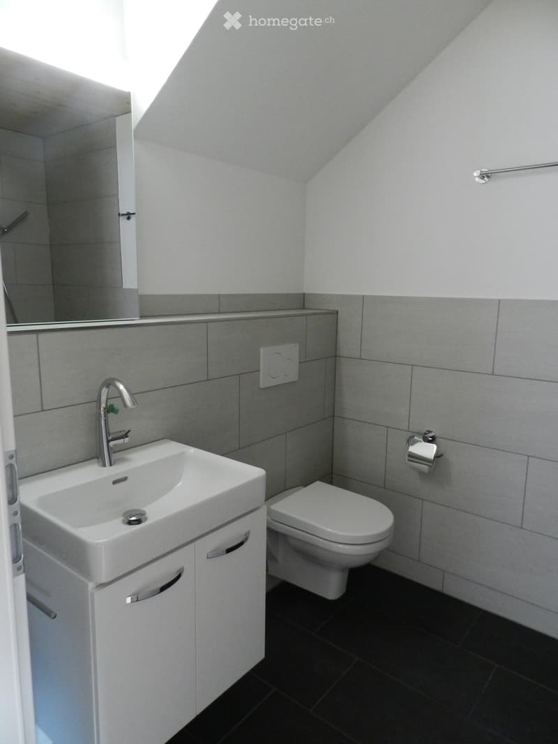 Modern bathroom with white sink, chrome faucet, toilet, mirror, and cabinet. Grey tiled walls and dark tiled floor.