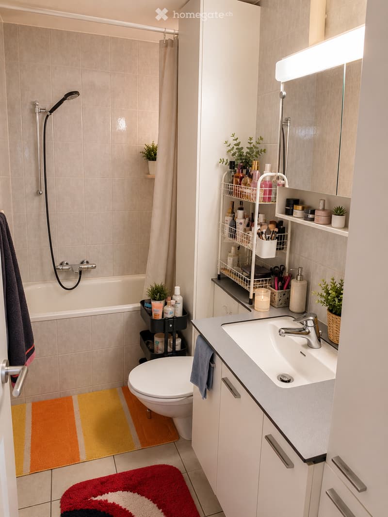 Modern bathroom with a bathtub, toilet, sink, and mirror. Features a white cabinet, a shelf with cosmetics, and small plants on the counter and shelf. Includes a towel and a colorful bath mat.