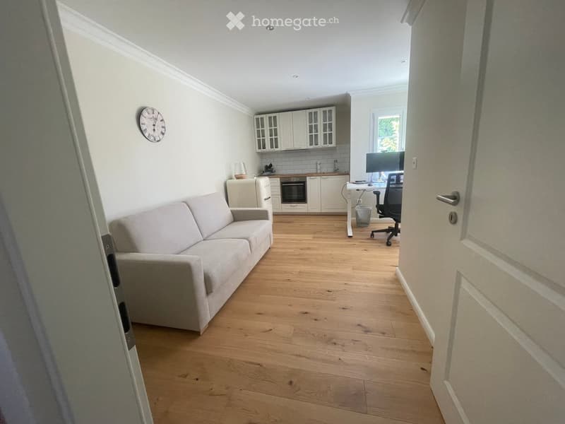 A modern, open-plan living and dining area with a light grey sofa, a small kitchen area with white cabinets, a refrigerator, and an oven, and a workspace with a chair, table, and screen.