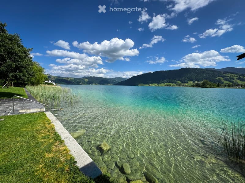 A serene lakeside view with clear turquoise water, rocky shoreline, grassy bank, and distant mountains under a partly cloudy sky.