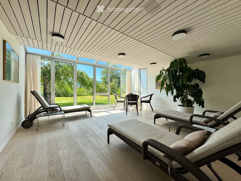 A spacious, well-lit room with wooden flooring, multiple sun loungers, a small table, and a potted plant near large windows offering a view of a green landscape.