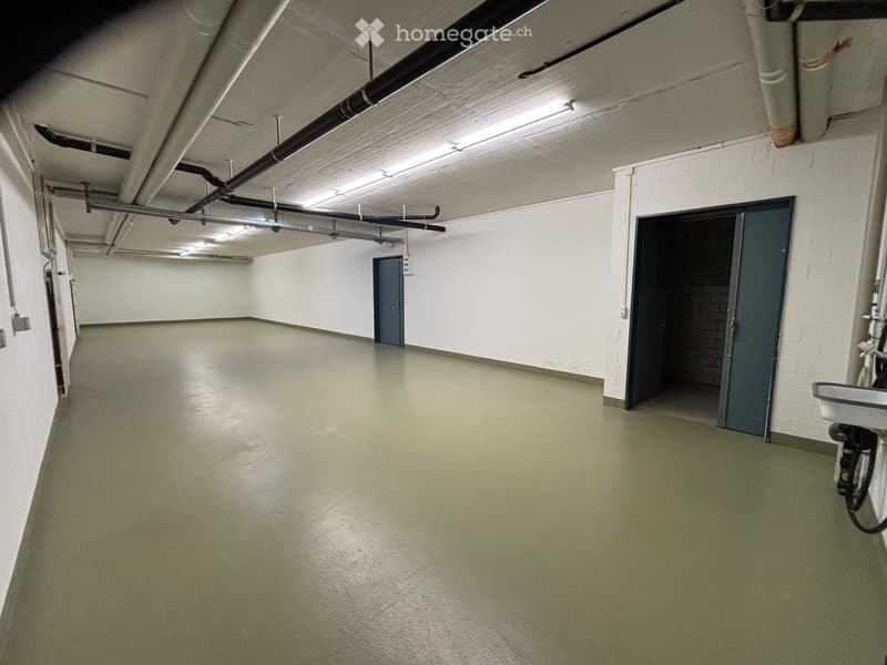 Empty basement, concrete floor, metal pipes, light fixtures