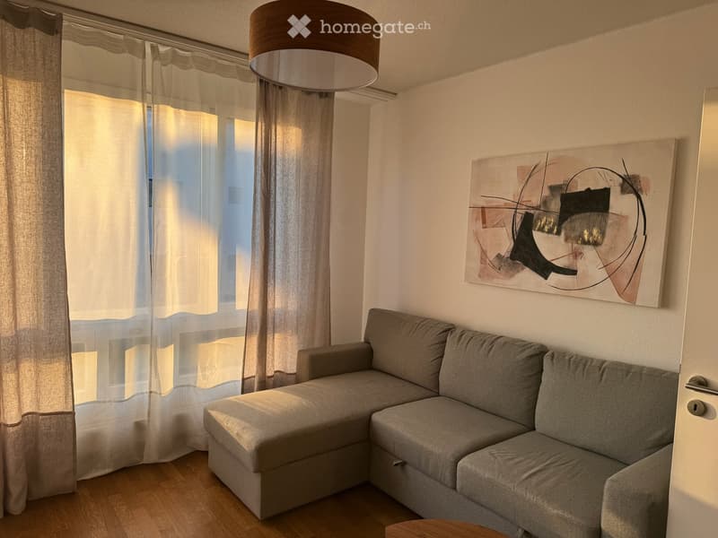 Helle 3.5-Zimmer-Wohnung mit Balkon und schöner Aussicht in Zürich-Witikon,teils mobiliert. (18)