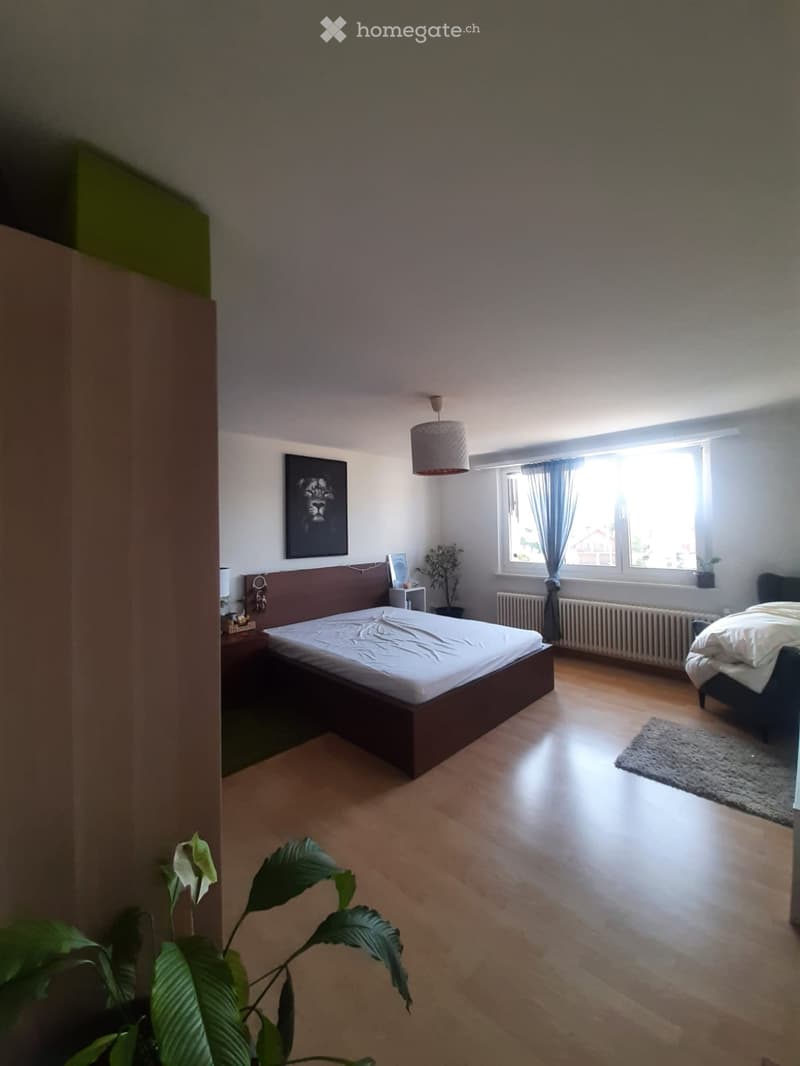 Bright bedroom with wooden flooring, two beds, nightstand, lamp, picture frame, plant, radiator, and a rug.