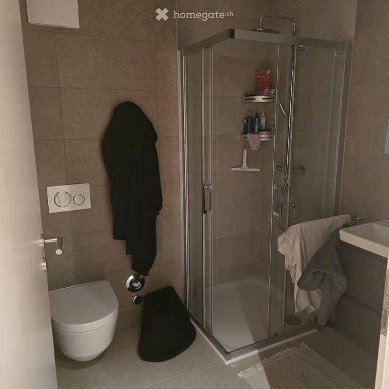Modern bathroom with a glass-enclosed shower, toilet, sink, and towel rack. Includes a towel and bathrobe hanging on the wall.