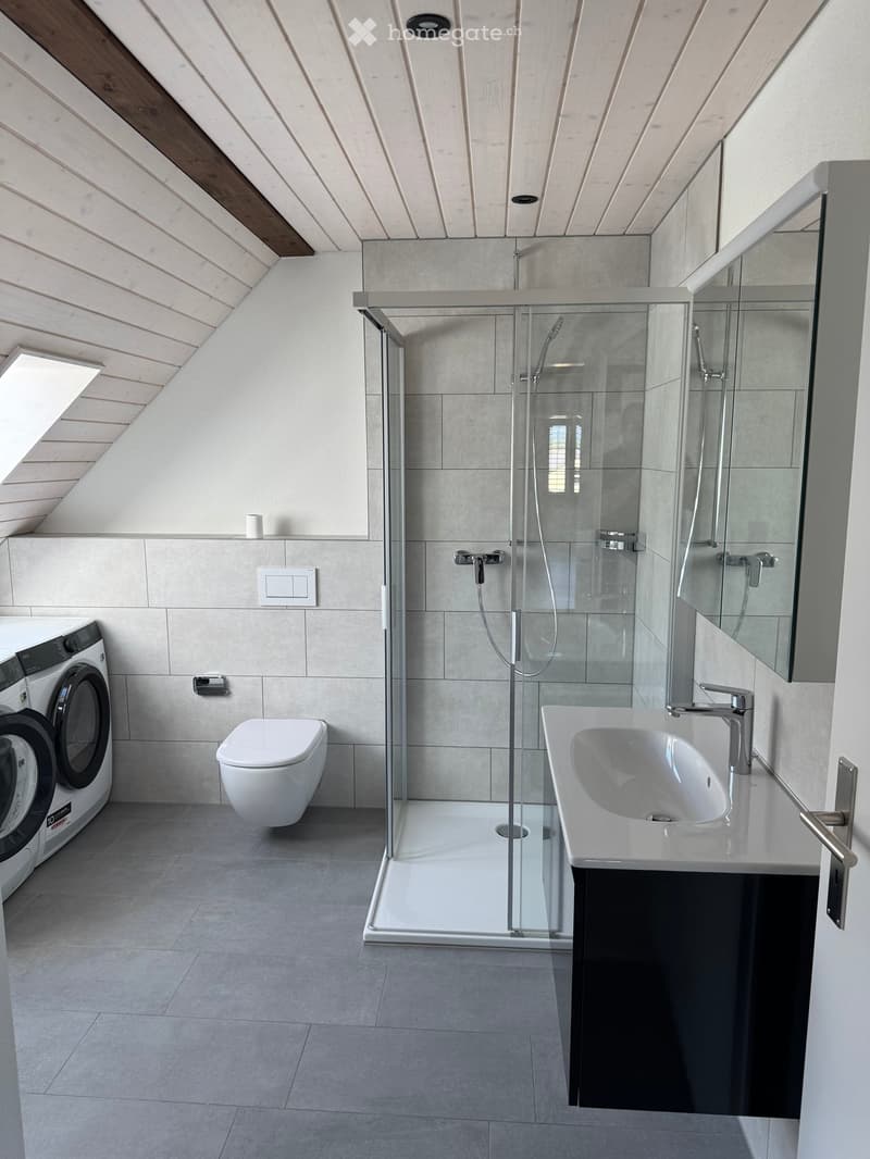 Modern bathroom with a glass-enclosed shower, white sink with faucet, toilet, washing machine, and a large mirror. The room features a sloped wooden ceiling and grey tiled walls and floor.