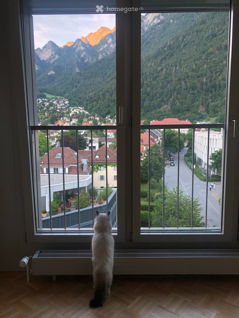 A cat stands on a wooden floor, looking out through a large window with a metal balcony railing, overlooking a town and mountains.
