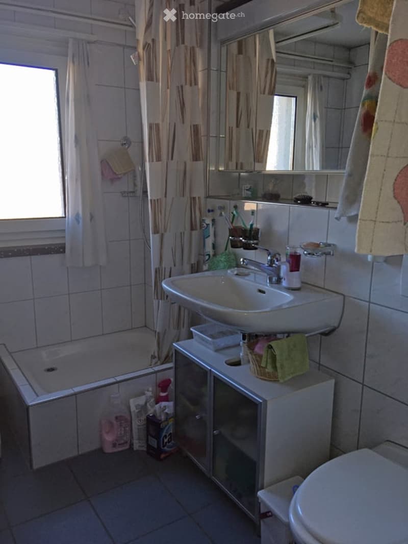 Bathroom with a white sink, mirror, cabinet, toilet, shower curtain, and cleaning supplies visible.