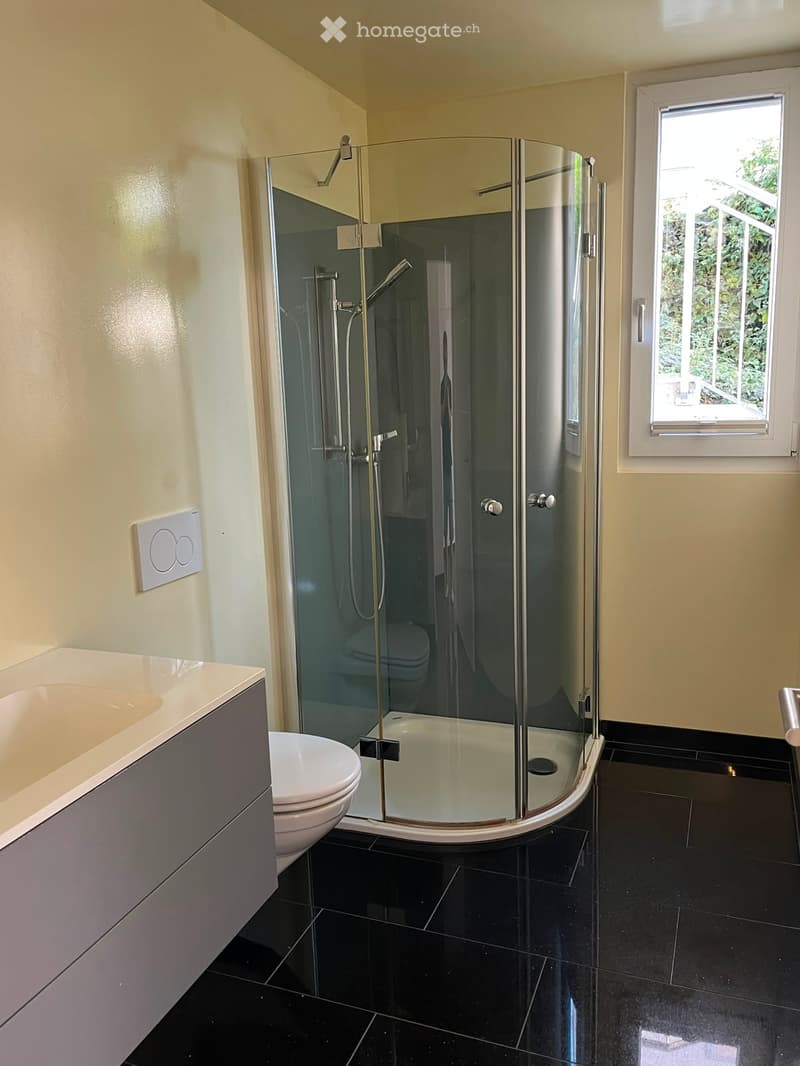 Modern bathroom with a glass-enclosed shower stall, toilet, sink, and dark tiled floor.