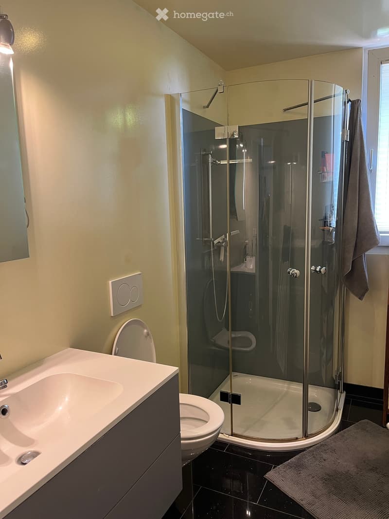 Modern bathroom with a white sink, toilet, glass-enclosed shower, and a towel hanging on the side.