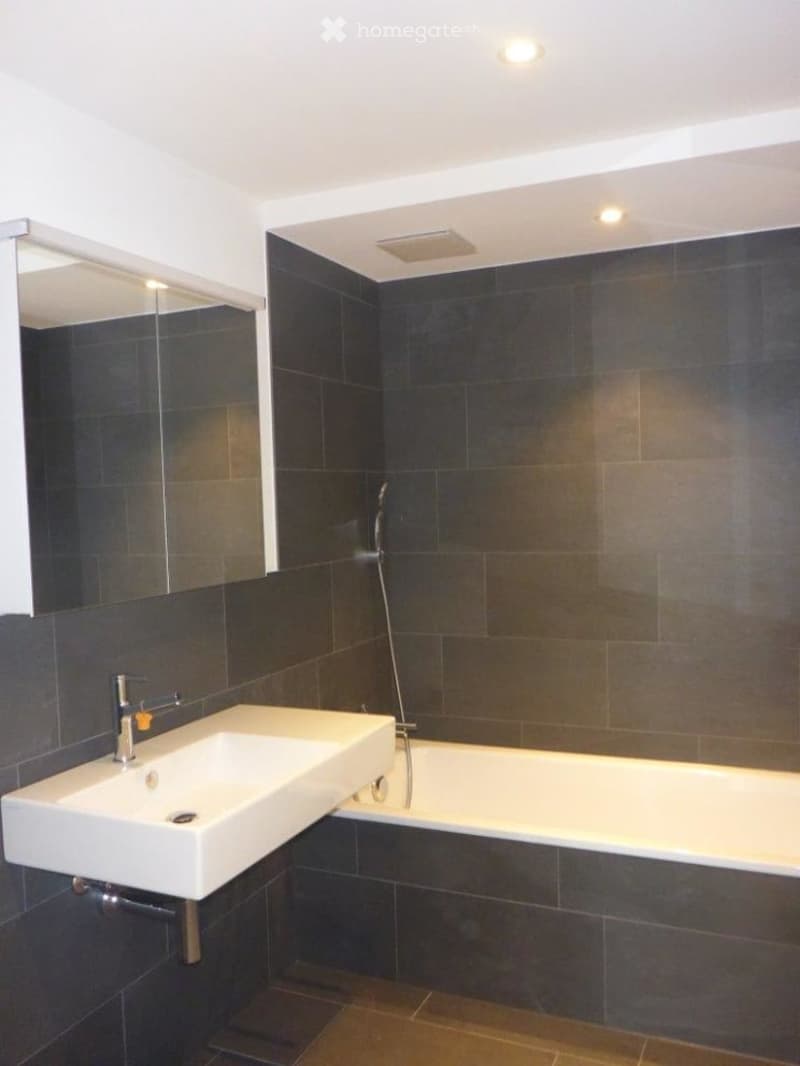 Modern bathroom with dark tiled walls, a white sink, a bathtub, and a large mirror.