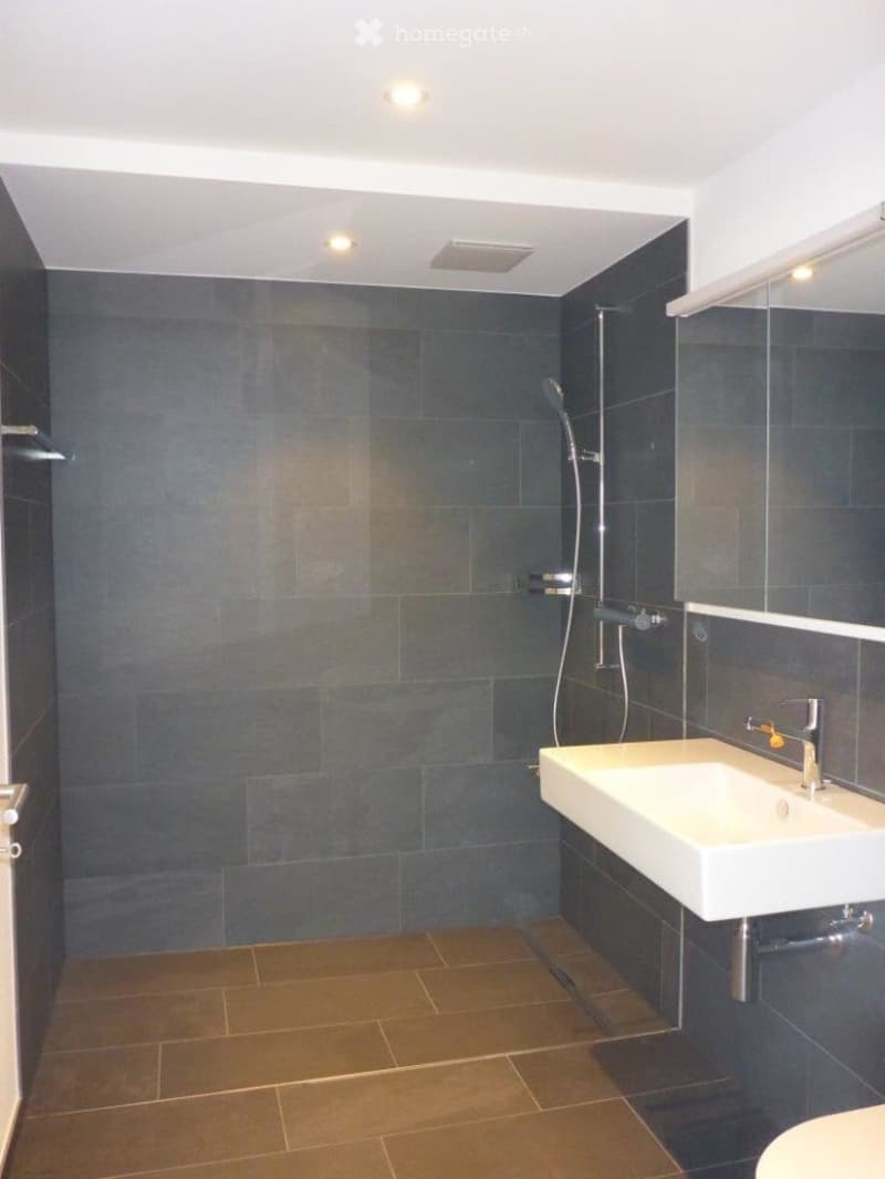 Modern bathroom with dark grey tiles, a white sink, a showerhead, and a mirror. The floor is tiled in a warm brown color.
