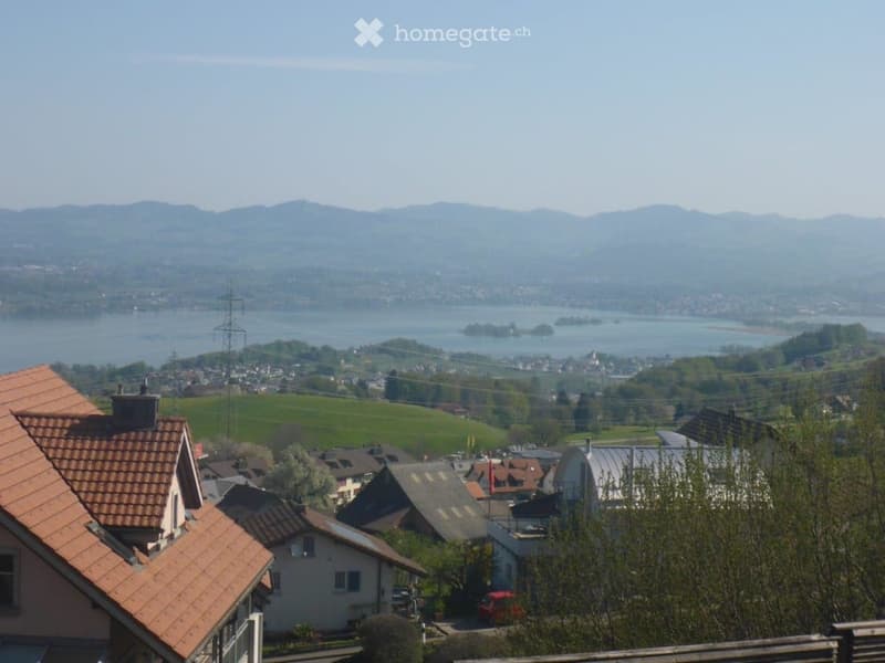 View of a town with houses, green fields, and a lake surrounded by mountains in the background.
