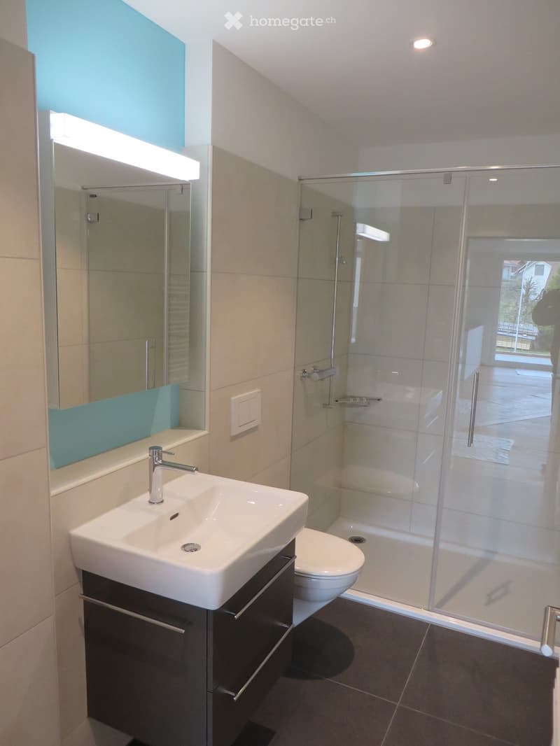 Modern bathroom with a white sink, chrome faucet, large mirror, toilet, and a glass-enclosed shower stall.