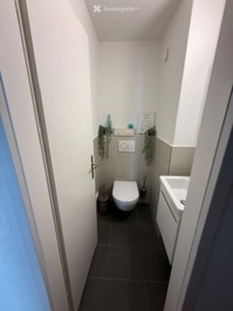 Modern, compact bathroom with white walls, dark tiled floor, toilet, sink, and small shower area.