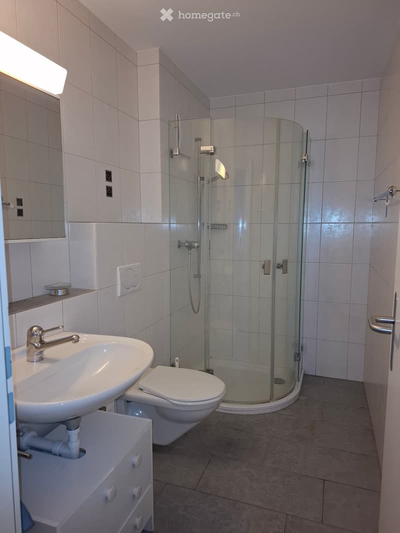 Modern bathroom with a white sink, chrome faucet, toilet, glass-enclosed shower, and a mirrored cabinet above the sink.