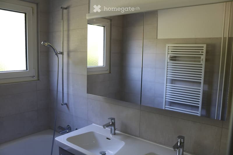 Modern bathroom with a white sink, chrome faucet, large mirror, radiator, and a shower hose attached to the wall.