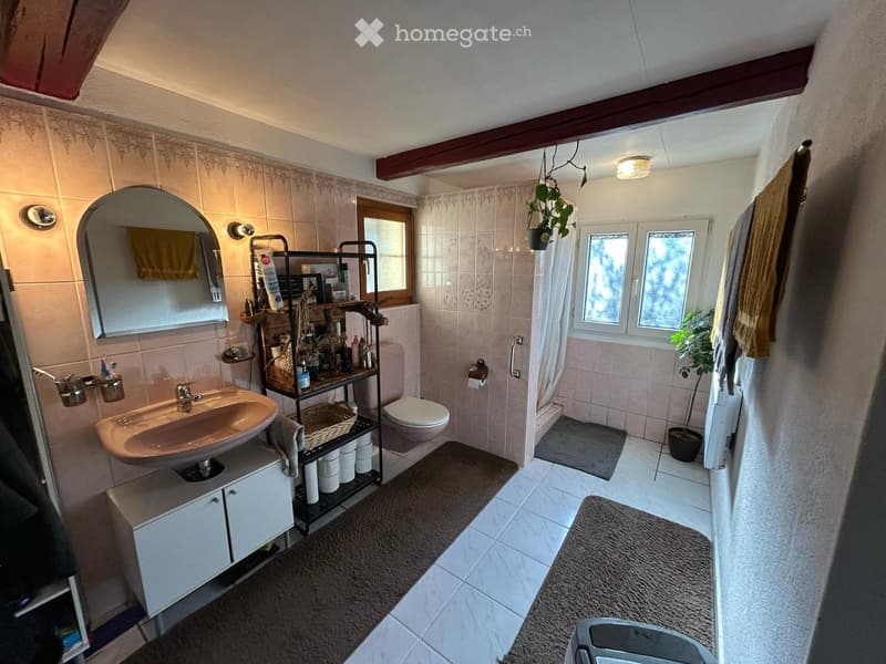 Bathroom with a sink, mirror, toilet, shower, storage rack, and plants. The room features tiled walls and floors, with a window providing natural light.