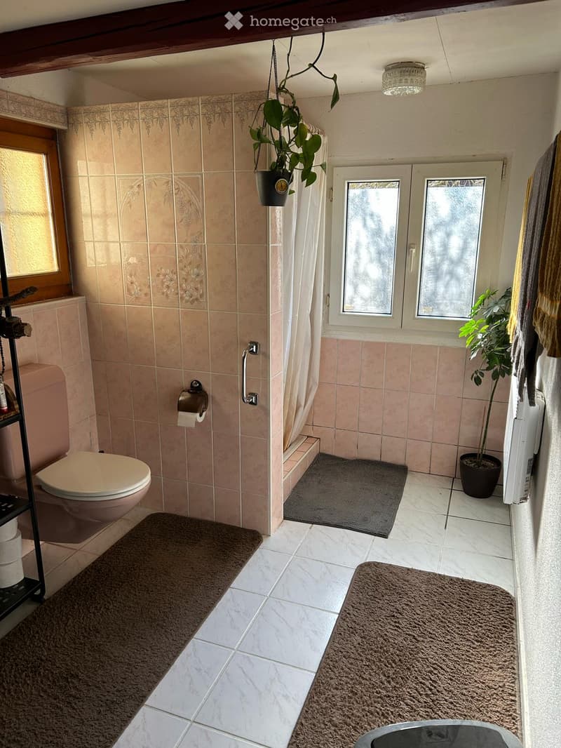 Bathroom with beige tiles, a toilet, a shower area with a curtain, and potted plants. Includes rugs and a light fixture.