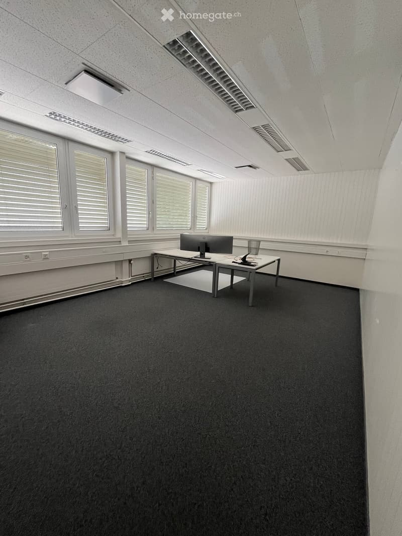 Office space with carpeted floor, large windows with blinds, a table with a computer monitor, and a trash can.