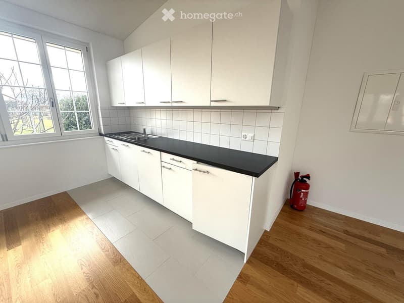 modern kitchen with white cabinets, black countertop, stainless steel sink, white tiles, wooden floor, large window