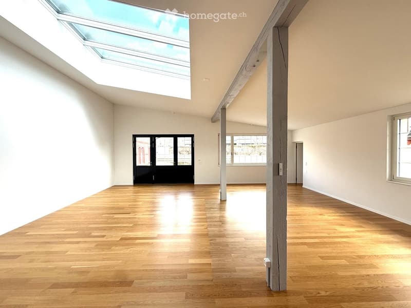 empty room, wooden floor, white walls, skylight, two doors, windows