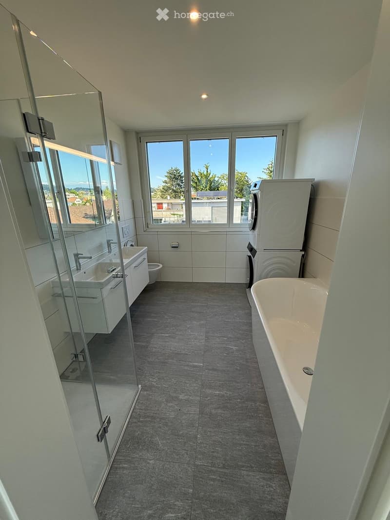 Modern bathroom with a bathtub, sink, mirror, washing machine, and toilet. Large windows provide natural light, and the space features a glass shower enclosure.