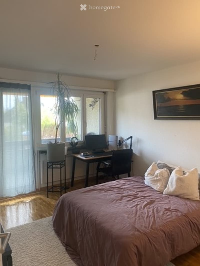 Cozy bedroom with a double bed, wooden desk, chair, computer, lamp, plant, and picture frame on the wall.