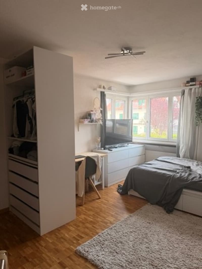 Modern bedroom with wooden flooring, large window, bed with dark bedding, wardrobe with drawers, desk with chair, TV on stand, shelf with decorative items, and a fluffy rug.