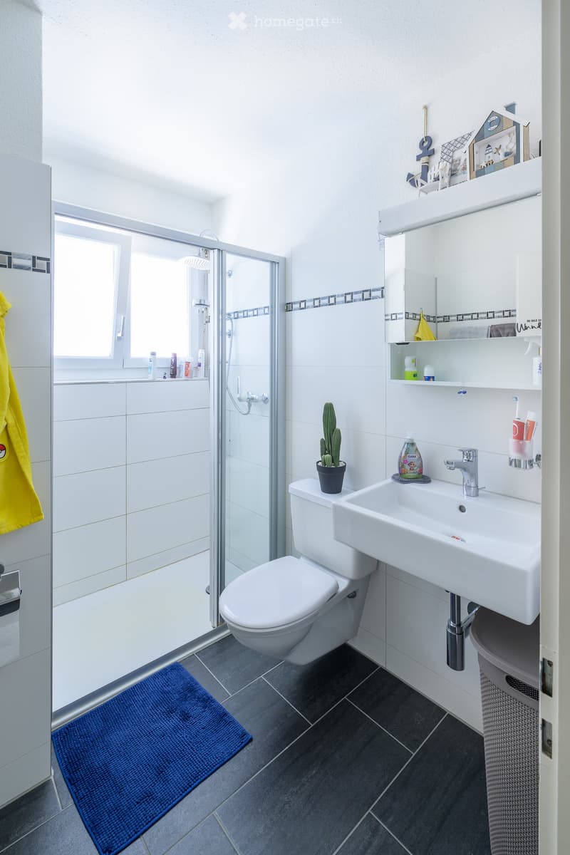 Modern bathroom with white tiles, a toilet, sink, shower, and a small cactus on the toilet tank. Shelves hold toiletries and a mirror above the sink.