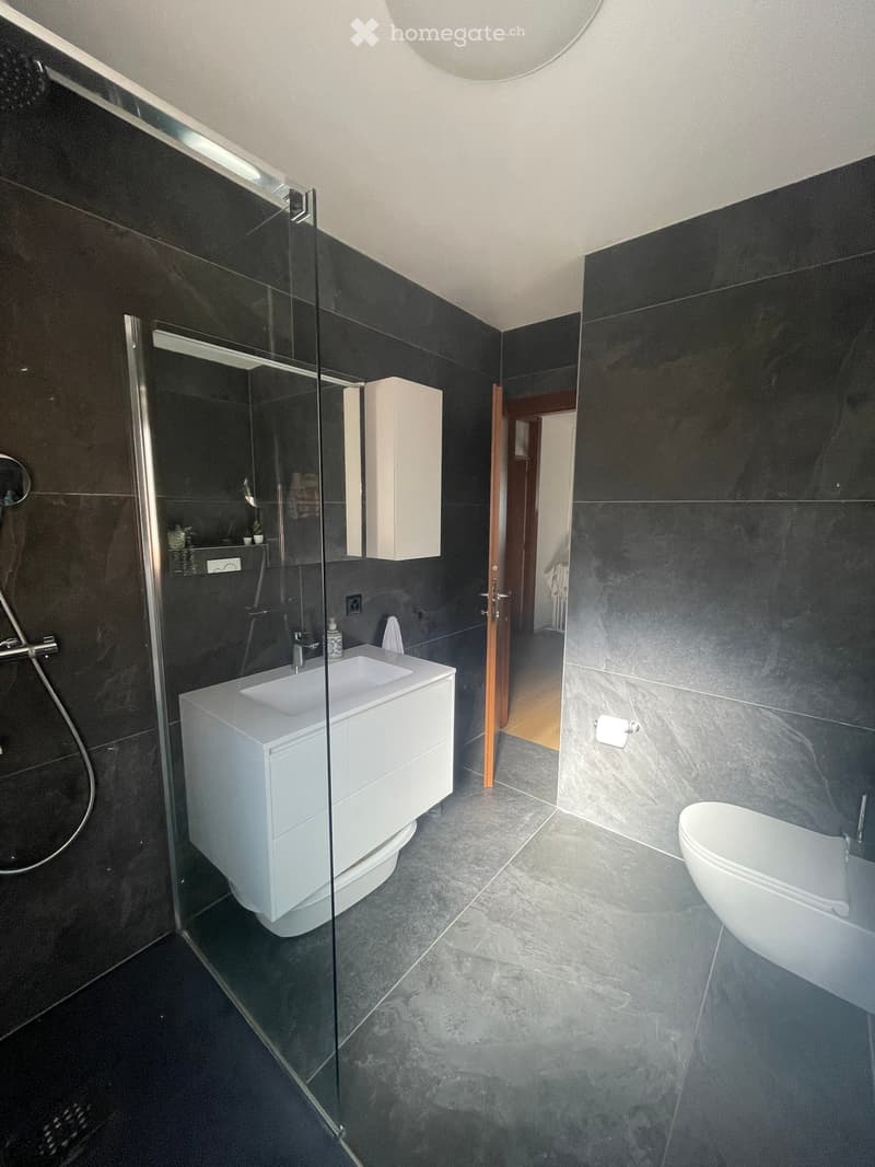 Modern bathroom with dark grey tiles, white sink, toilet, glass shower enclosure, and a small cabinet.